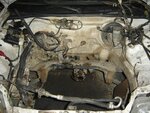 DSC04434.JPG