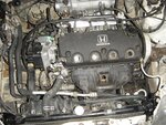 DSC04525.JPG