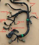 siharness6.jpg