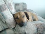 Murphy.JPG