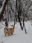 DSC_3610.JPG