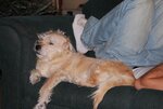 DSC_2287.JPG