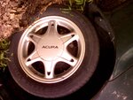 PIC-0088.jpg