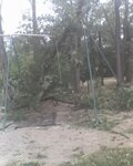 09-14-08_1444.jpg