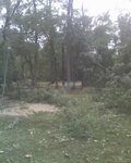 09-14-08_1445.jpg