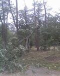 09-14-08_1446.jpg