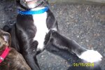 Picture 030.jpg