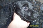Picture 028.jpg