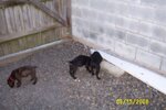 Picture 023.jpg