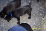 Picture 025.jpg