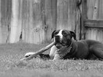 PA042804.JPG