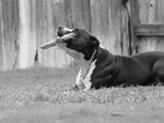 PA042803.JPG