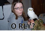 orly.jpg