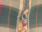 Img_2123.jpg