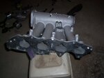 100_0773.JPG