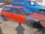downsized_1205081313a.jpg