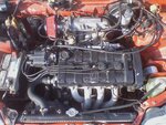 downsized_1205081314b.jpg