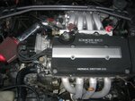 IMG_1146.JPG