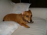 random pics 007.JPG