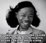 Hide to hide.jpg