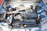 T's Car 008 (3).jpg