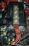 Honda Firing Order.jpg