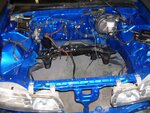 100_0227.JPG