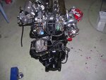 100_0235.JPG