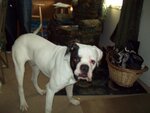 100_0010.jpg