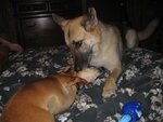 IMG_0111.JPG