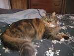 IMG_0139.JPG