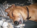 IMG_0152.JPG