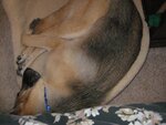 IMG_0146.JPG