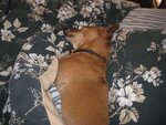 IMG_0140.JPG