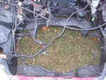 100_1072.jpg