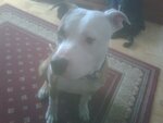 IMG00299.jpg