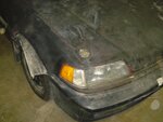 DSC06538.JPG