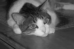 100_0087.jpg