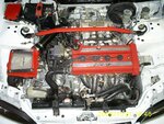 some photos 252.JPG