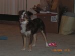 Picture 219.jpg