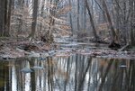 20090215-DSC_0126.jpg