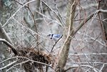 20090308-DSC_0005.jpg