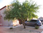 IMG_0615.JPG