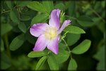 DSC_1960_Small.jpg