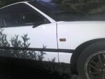 img090.jpg