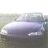 civic_nizmo