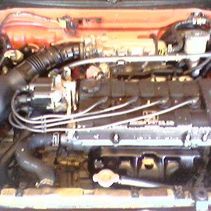 LS in 91 Hatch