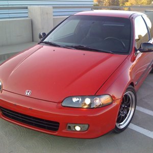 92dxhatch058