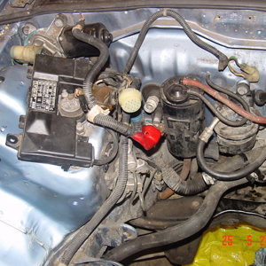 Before engine bay detailing