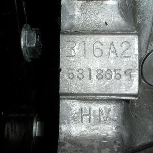 DSCN0581